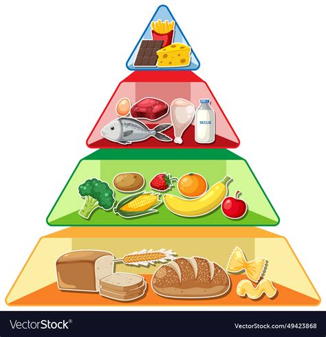 Food Gambar Piramid Makanan Kartun Cartoon Food Pyramid Stock Rainy Weathers