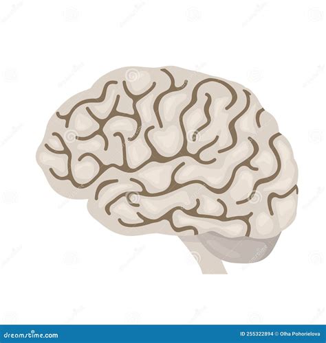 Human Brain Icon For Health Benefits Flat Vector Illustration Stock