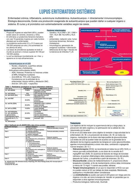 Resumen De Reumatolog A Med Student Lu Udocz