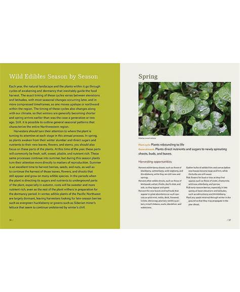 Barnes & Noble Pacific Northwest Foraging: 120 Wild and Flavorful ...