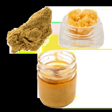 La Jolla Kit Bud Naked Official