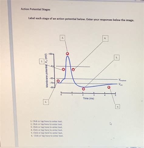 Solved Comparison Graded Potential And Action Potential