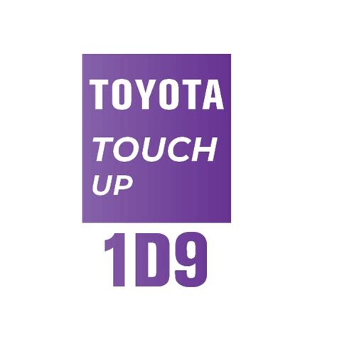 1D9 – SILVER GRAPHITE – Touchup