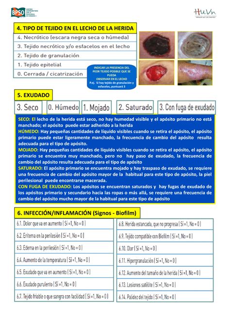 Terap Utica Local Valoraci N De La Herida Ulceras Net