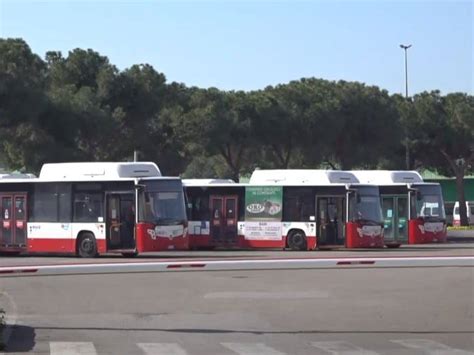 A Bari Il Concerto Di Vasco Rossi Divieti E Potenziamento Trasporto