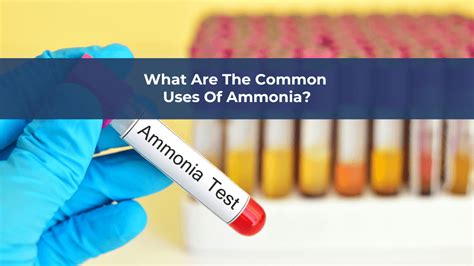 Exploring the Diverse Uses of Ammonia in Modern Industries