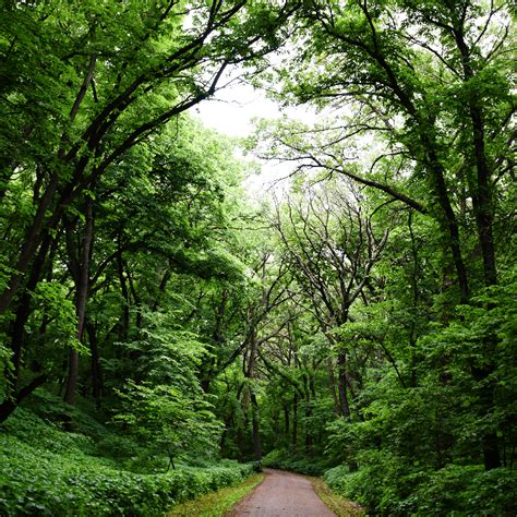 Newton Hills State Park