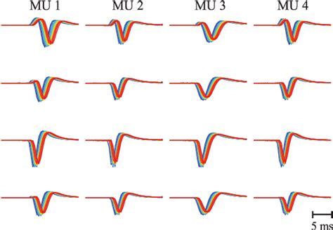 Figure 1 From Adaptive Real Time Identification Of Motor Unit