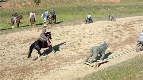 rodeio de vaca mecânica só alegria YouTube