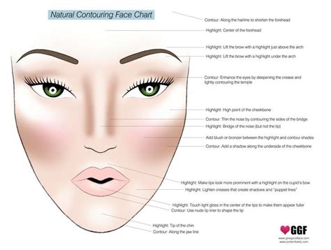 This Chart Will Turn You Into A Highlighting And Contouring Pro