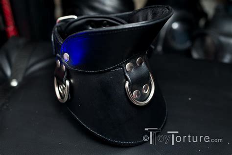 Padded Posture Collar