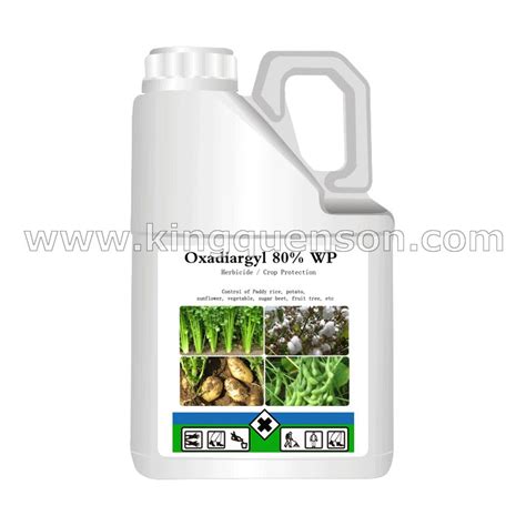 China Pesticide Herbicide Manufacturer Supplier Wholesaler King