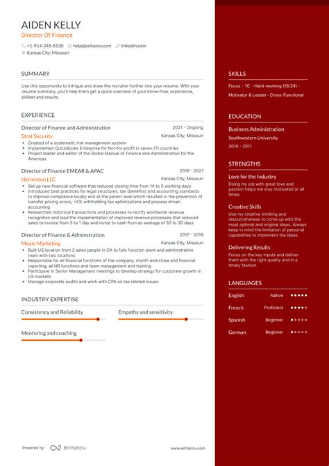 Director Of Finance Resume Examples Guide For