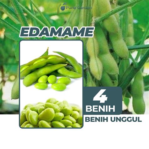 Jual Benih Bibit Edamame Kacang Kedelai 4 Benih Purie Garden Shopee