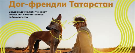 Дог-френдли Татарстан | Проект о развитии культуры ответственного ...