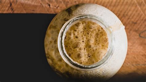 Как сделать закваску для хлеба в домашних условиях: рецепты