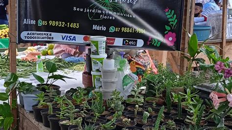 Todos os Sábados na feira livre da Cohab Massangano em Petrolina PE