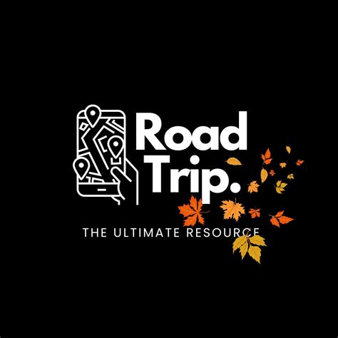 What an experience, swimming with dolphins at the giants causeway 😊