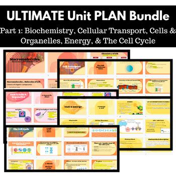 Ultimate Biology Unit Plan Bundle Cell Biology Genetics Evolution