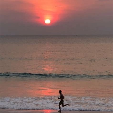 Eila Plug Canadian Anal Anal Porn XHamster