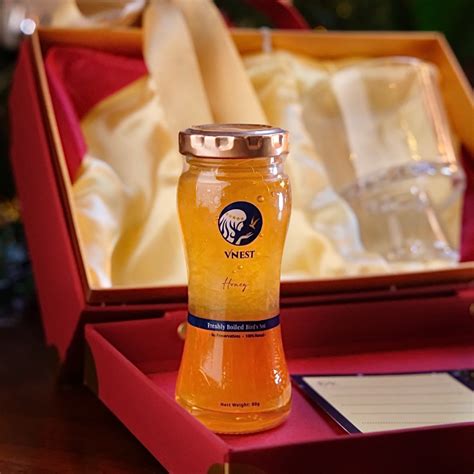 Our Bird's Nest Series – VNest