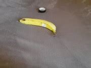 How To Make Toy Vagina At Home Banana Xxx Mobile Porno Videos Movies IPornTV Net