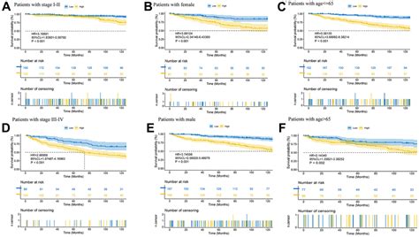 Construction And Validation Of A Model Based On Immunogenic Cell Death