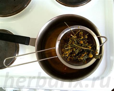 Отвар ромашки, как правильно принимать его внутрь и можно ли его пить ...