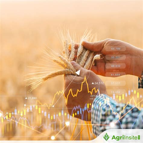 Wheat Futures 2024 , Wheat futures and options – JSLDLN