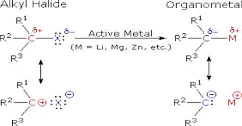 Reaction of Alkyl Halides with Metals - QS Study