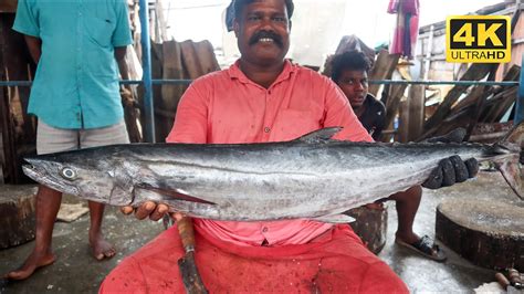 Big Vanjaram Fish Slice Cutting Kasimedu Siruthai Durai Big Fish