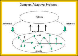 complex adaptive system assignment point