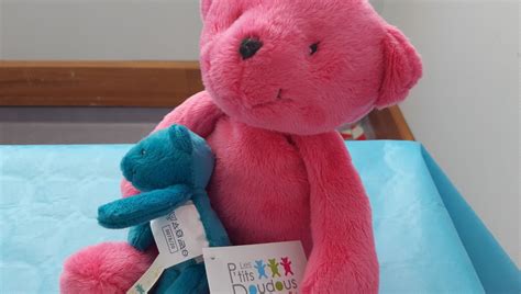 Les P Tits Doudous Des Soignants Mayennais Aux Petits Soins Des Enfants Malades Ici