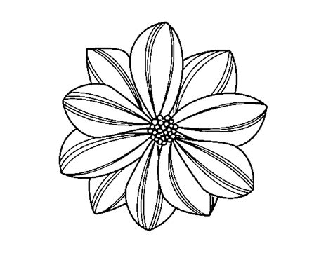 Dibujo De Flor De Margarita Para Colorear