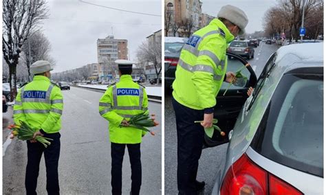 Amenzi Florale Aplicate De Poli Ia Rutier Doamnelor I Domni Oarelor