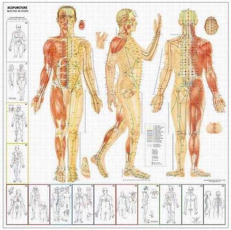 Corso Di Tuina Massaggio Tradizionale Cinese E Tecniche Complementari