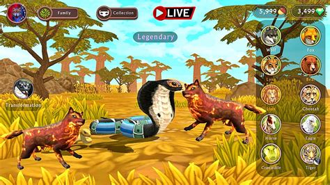 🔴 Live Wildcraft Transformation And The Wolf Youtube