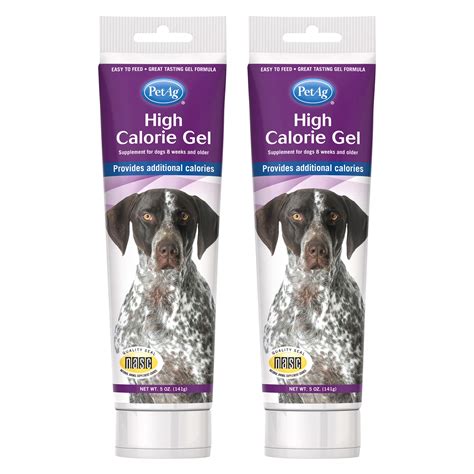 How Can I Increase My Dogs Calorie Intake