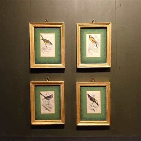 A Set Of Four Th Century Framed Bird Engravings By William Swainson