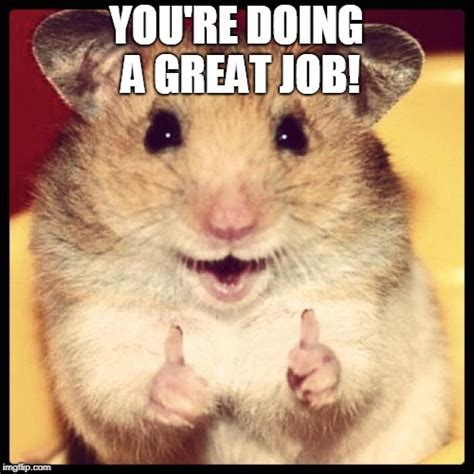 Great Job Meme Cute Great Work Images Funny Last Day