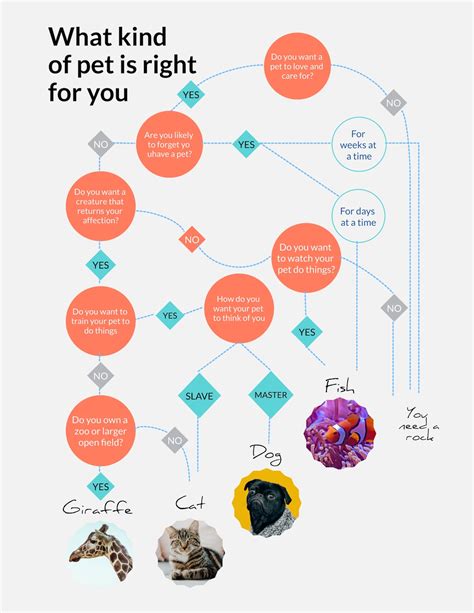 30 Flowchart Examples With Guide Tips And Templates