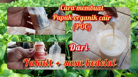 Cara Membuat Pupuk Organik Cair Poc Dari Yakult Dan Susu Kedelai Youtube