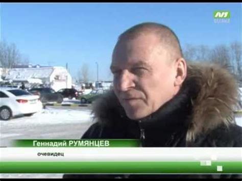 Пистолет против собаки - YouTube