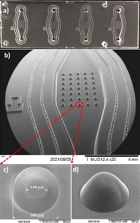 A Polymer Microchip With Four Reaction Chambers B SAF Embedded As