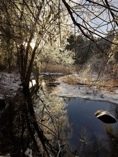 We got an ice storm in Massachusetts yesterday, this is from my walk ...