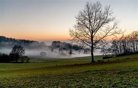 Beauty Bavarian Landscape With Fog During Sunset Dr Matthias Ripp