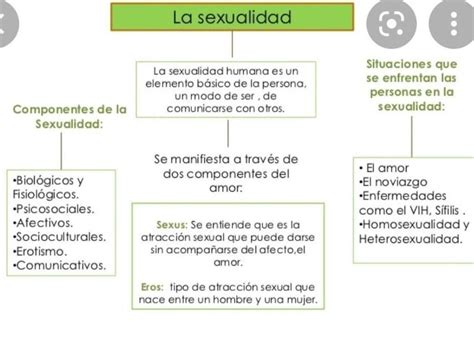 Elabore Un Organizador Grafico Sobre La Salud Y A Sexualidad Doy