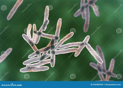 Ulcre De Buruli Epicentre 