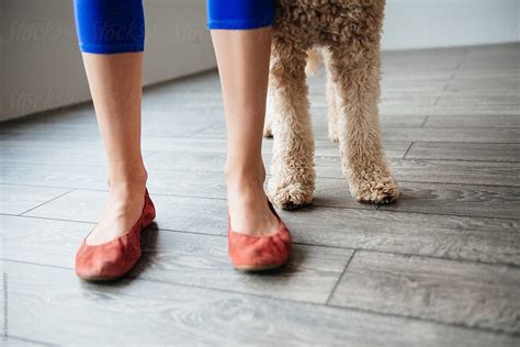 "Dog Feet, Human Feet" by Stocksy Contributor "Cara Dolan" - Stocksy