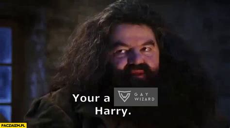 Youre A Gay Wizard Harry Grey Wizard Wykop Paczaizm Pl